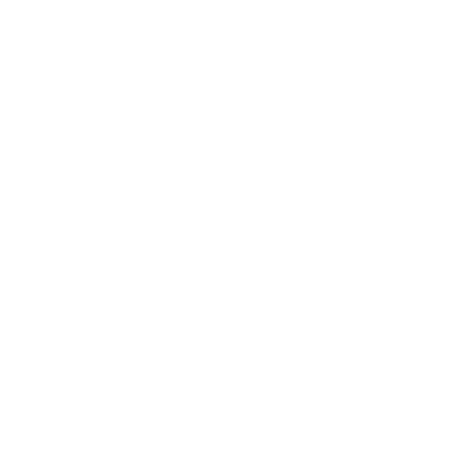 Vision